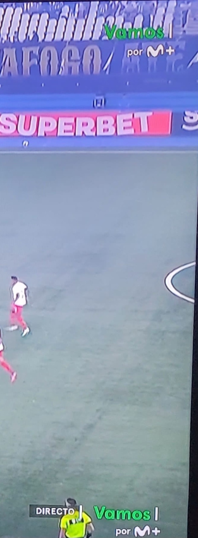 Curioso: doble 'mosca' en el Botafogo-Bragantino