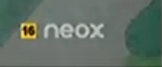 Mosca e indicador de edad.png
