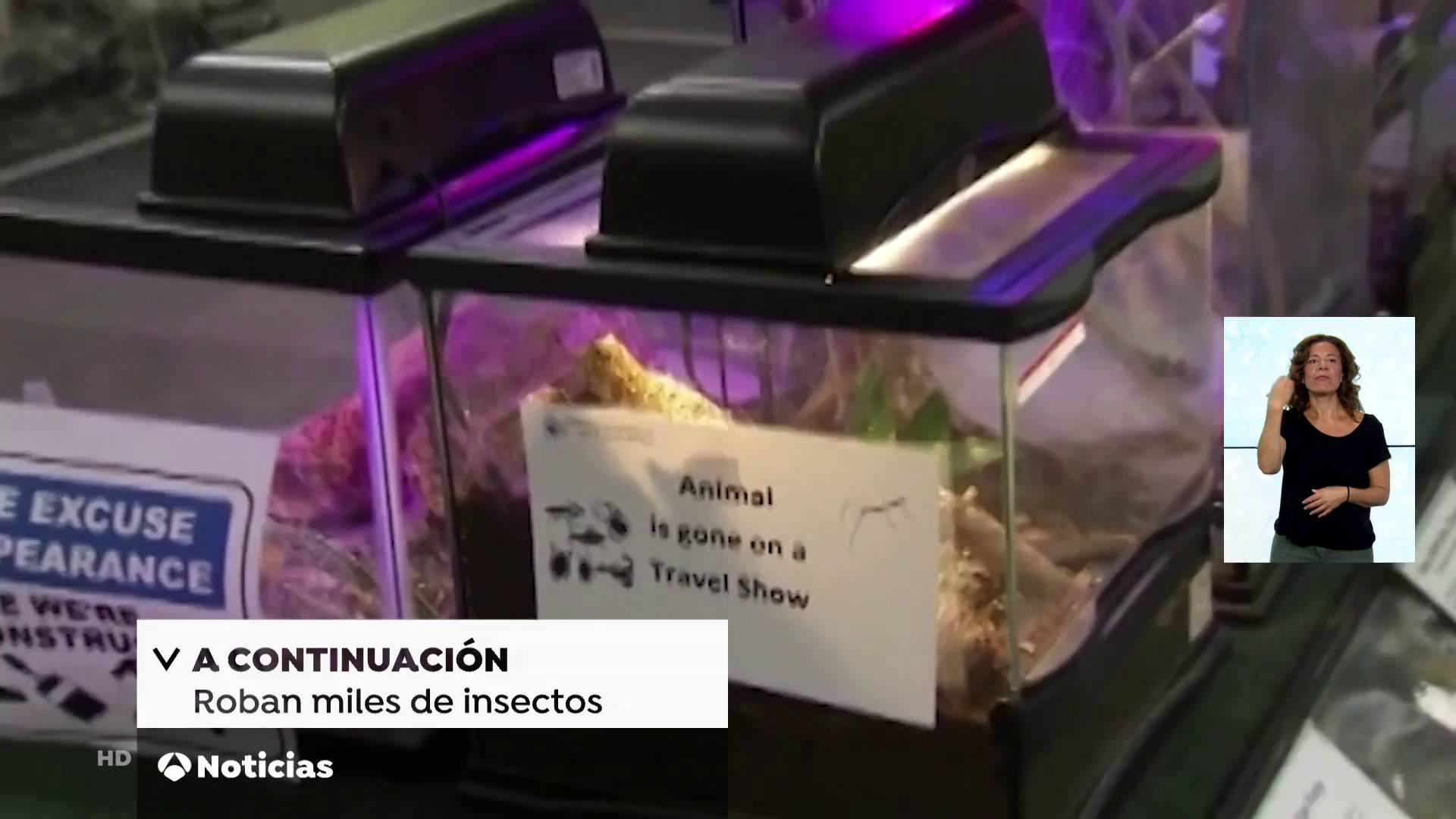 Antena 3 [HD] [stream] - A continuacion en Noticias nueva imagen con mosca propia 2018-09-03-07h23m57s499(compr).jpg