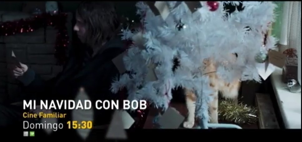 Screenshot_2022-12-28-21-38-40-365_com.android.chrome.jpg