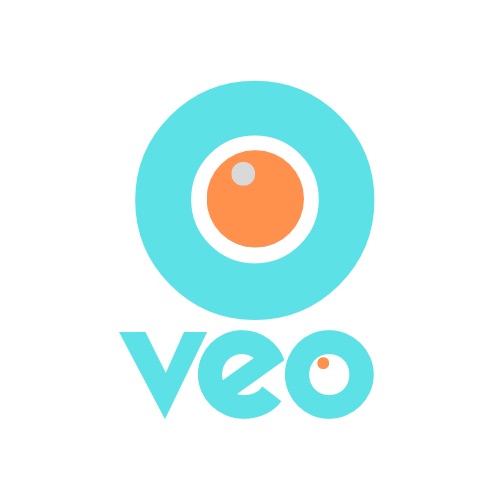 Veo logo 1