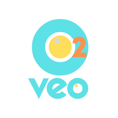 Veo 2 logo 1